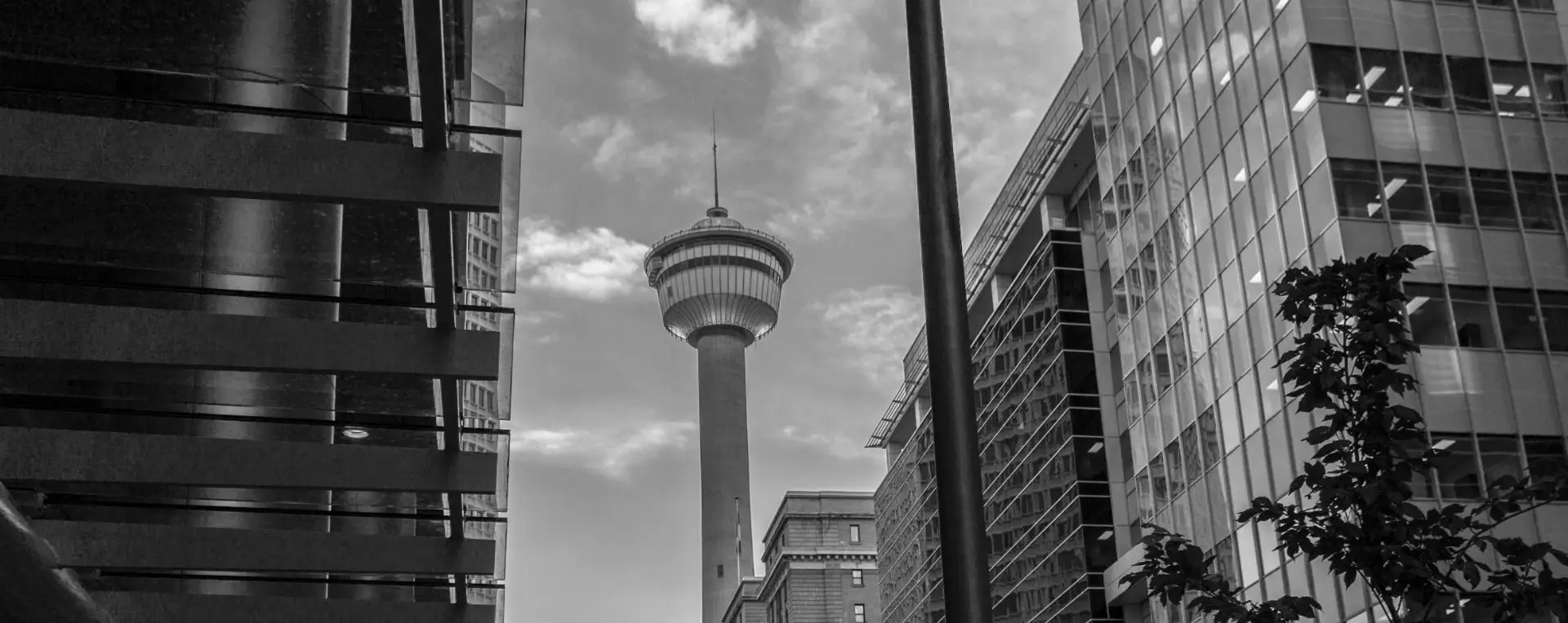 The Calgary Tower and downtown skyline